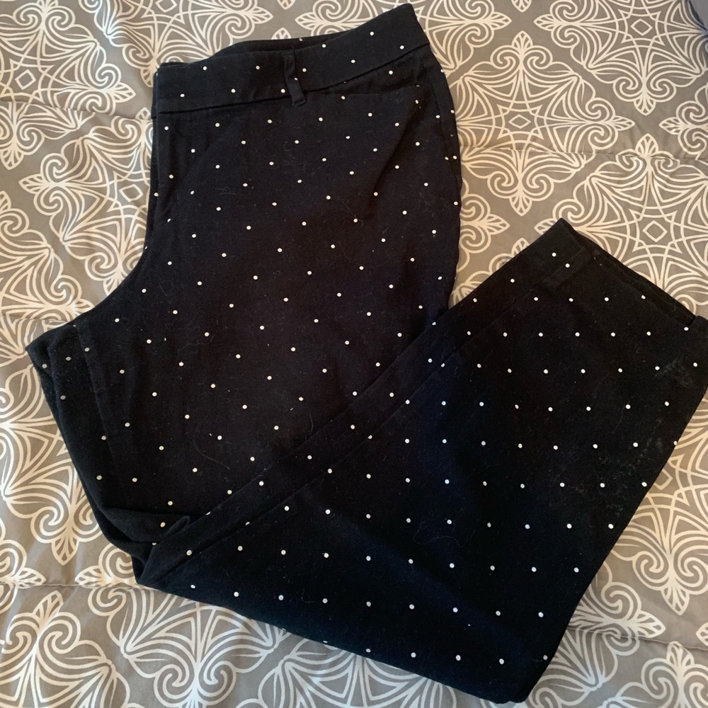 Dress pants!